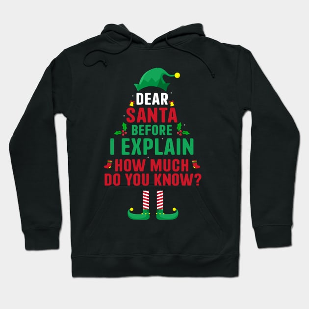 Dear Santa I Can Explain Funny Christmas Pajama Adults Kids Hoodie by _So who go sayit_